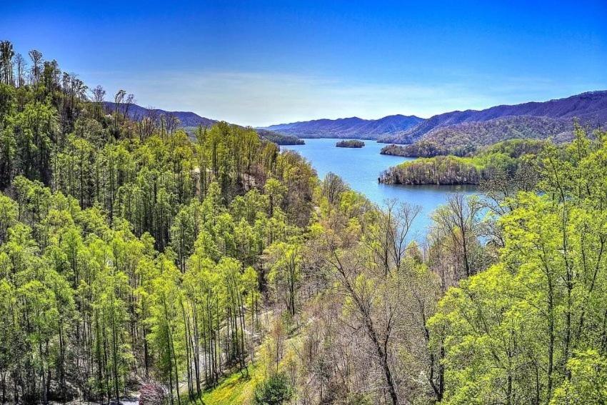 Iron Mountain Lodge - Beautiful Cabin With Forest & Mountain Views! Butler Exterior photo